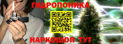 мдпв Жуковский