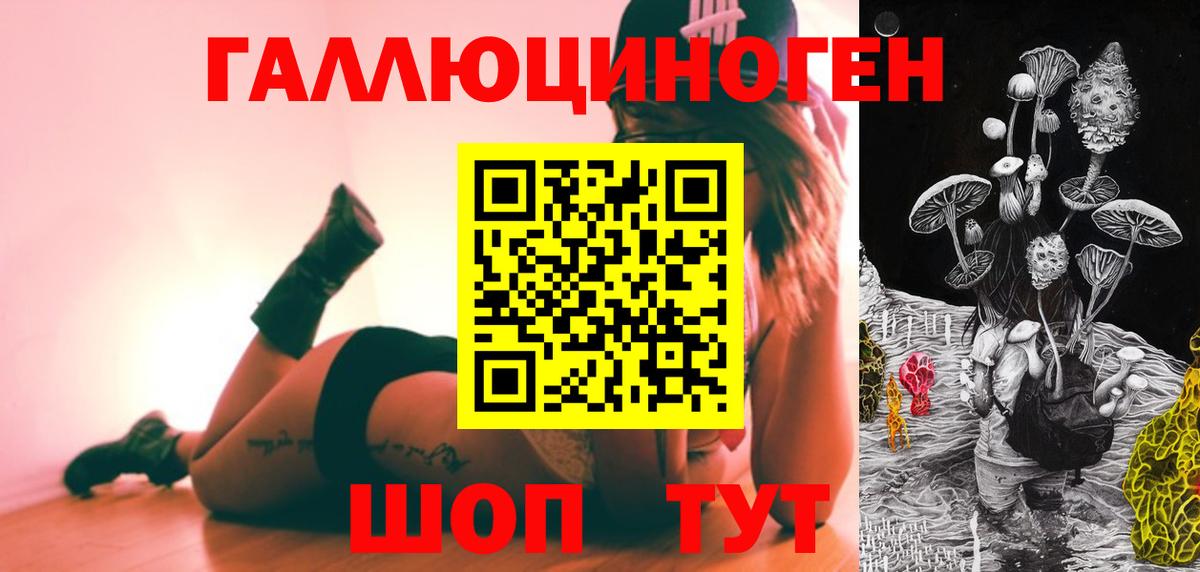 Псилоцибиновые грибы Psilocybe Ликино-Дулёво